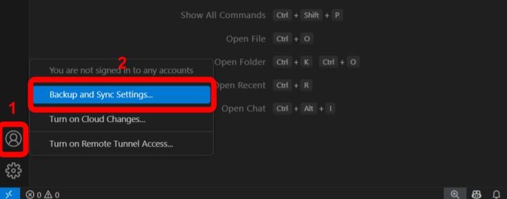 Visual Studio Code Account Icon